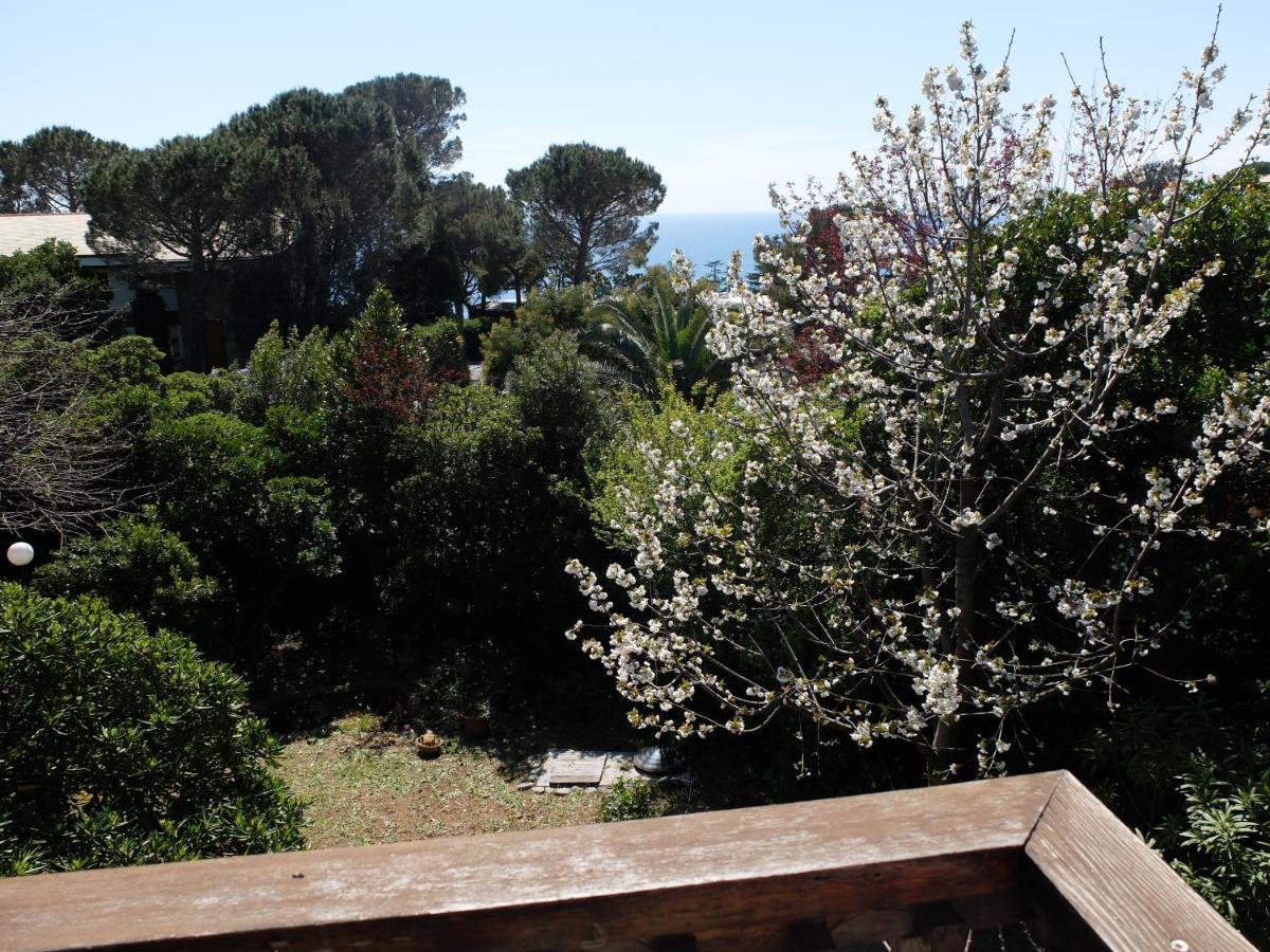 B&B Verde Sul Mare Аренцано Екстериор снимка